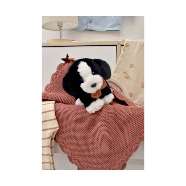 ΑΝΑΜΕΝΕΤΑΙ SPA - Welcome Home - Black Dog - Image 3